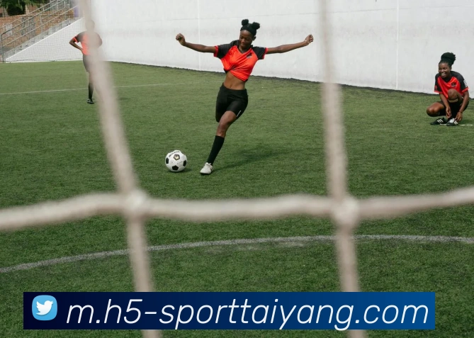 太阳城平台生态图